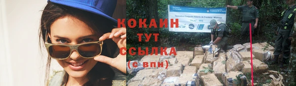 бошки Сатка