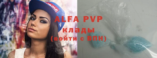 стафф Алзамай