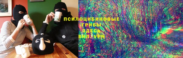 apvp Арсеньев