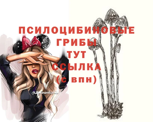 apvp Арсеньев