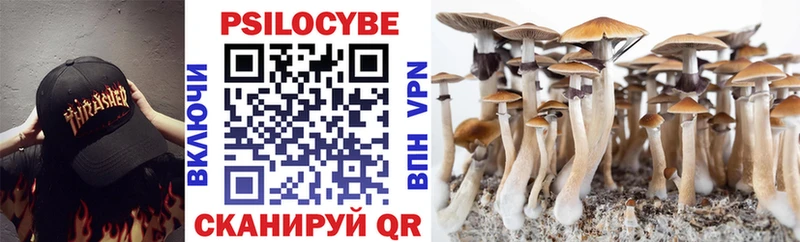 купить наркоту  кракен вход  Псилоцибиновые грибы мицелий  Коломна 